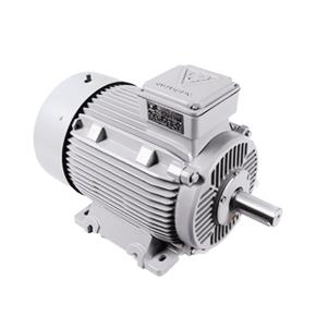 الکتروموتور 750-3 کیلوات پوسته چدن سه فاز موتوژن 